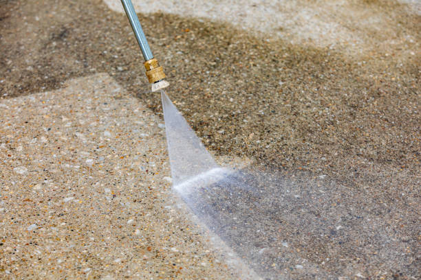 Best Residential House Exterior Washing  in Janesville, CA