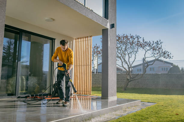 Best Rust Removal  in Janesville, CA