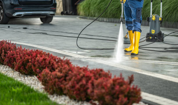 Best Oil Spill Cleanup  in Janesville, CA