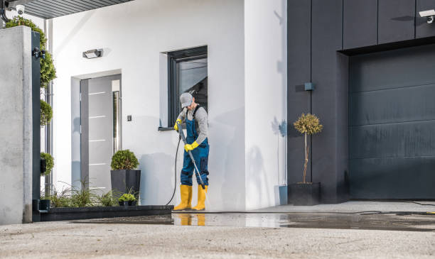 Best Dumpster Area Cleaning  in Janesville, CA