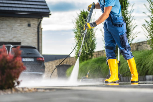 Best Solar Panel Cleaning  in Janesville, CA